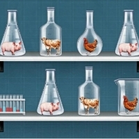 Zatwierdzone przez FDA kontrowersyjne mięso hodowane w laboratorium staje się rzeczywistością.