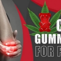 Lies And Damn Lies About Smart Hemp Gummies Canada