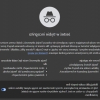 Google Chrome: zalety i wady trybu prywatnego (incognito)