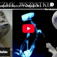 Ciała Obcych z Nazca - Przegląd Wszystkich Okazów.