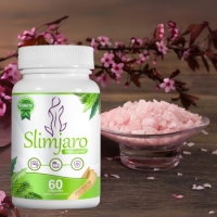 SlimJaro: Breathe Life Into Old Hardware