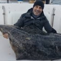 Zaskakująca prawda o rybie halibut, która jest prawdziwą tarczą przed rakiem.