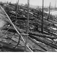 Katastrofa tunguska rozpala wyobraźnię fascynatów nauki.