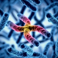 Naukowcy odkryli narzędzie, które bez śladu zmienia DNA.