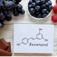 Resweratrol – czym jest i jak działa