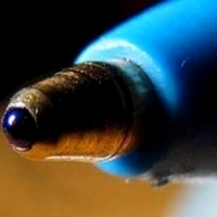 Wynalezienie długopisu.