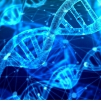 Algorytm polskich wynalazców czyta chromosomy jak książkę.