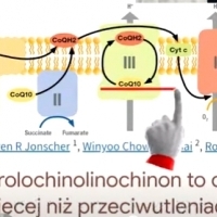 ANTI-AGING czyli biochemia młodości od strony mitochondriów i telomerów.