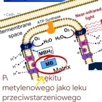ANTI-AGING czyli biochemia młodości od strony mitochondriów i telomerów.
