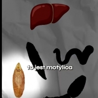 Zgadnij, co najczęściej siedzi ludziom w wątrobie?