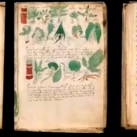 Karty z manuskryptu Wojnicza i Michał Wojnicz. Wilfrid Voynich. Część 1.