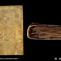Karty z manuskryptu Wojnicza i Michał Wojnicz. Wilfrid Voynich. Część 1.