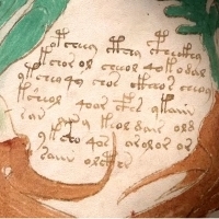 Karty z manuskryptu Wojnicza i Michał Wojnicz. Wilfrid Voynich. Część 1.