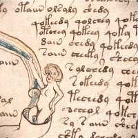 Karty z manuskryptu Wojnicza i Michał Wojnicz. Wilfrid Voynich. Część 1.