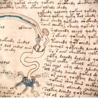 Karty z manuskryptu Wojnicza i Michał Wojnicz. Wilfrid Voynich. Część 1.