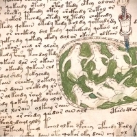 Karty z manuskryptu Wojnicza i Michał Wojnicz. Wilfrid Voynich. Część 1.