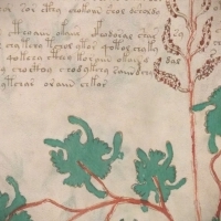 Karty z manuskryptu Wojnicza i Michał Wojnicz. Wilfrid Voynich. Część 2.