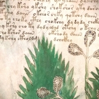 Karty z manuskryptu Wojnicza i Michał Wojnicz. Wilfrid Voynich. Część 2.