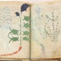 Karty z manuskryptu Wojnicza i Michał Wojnicz. Wilfrid Voynich. Część 2.
