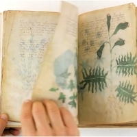Karty z manuskryptu Wojnicza i Michał Wojnicz. Wilfrid Voynich. Część 2.