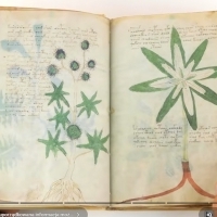 Karty z manuskryptu Wojnicza i Michał Wojnicz. Wilfrid Voynich. Część 2.