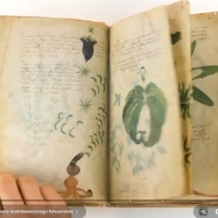 Karty z manuskryptu Wojnicza i Michał Wojnicz. Wilfrid Voynich. Część 2.