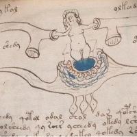 Karty z manuskryptu Wojnicza i Michał Wojnicz. Wilfrid Voynich. Część 2.